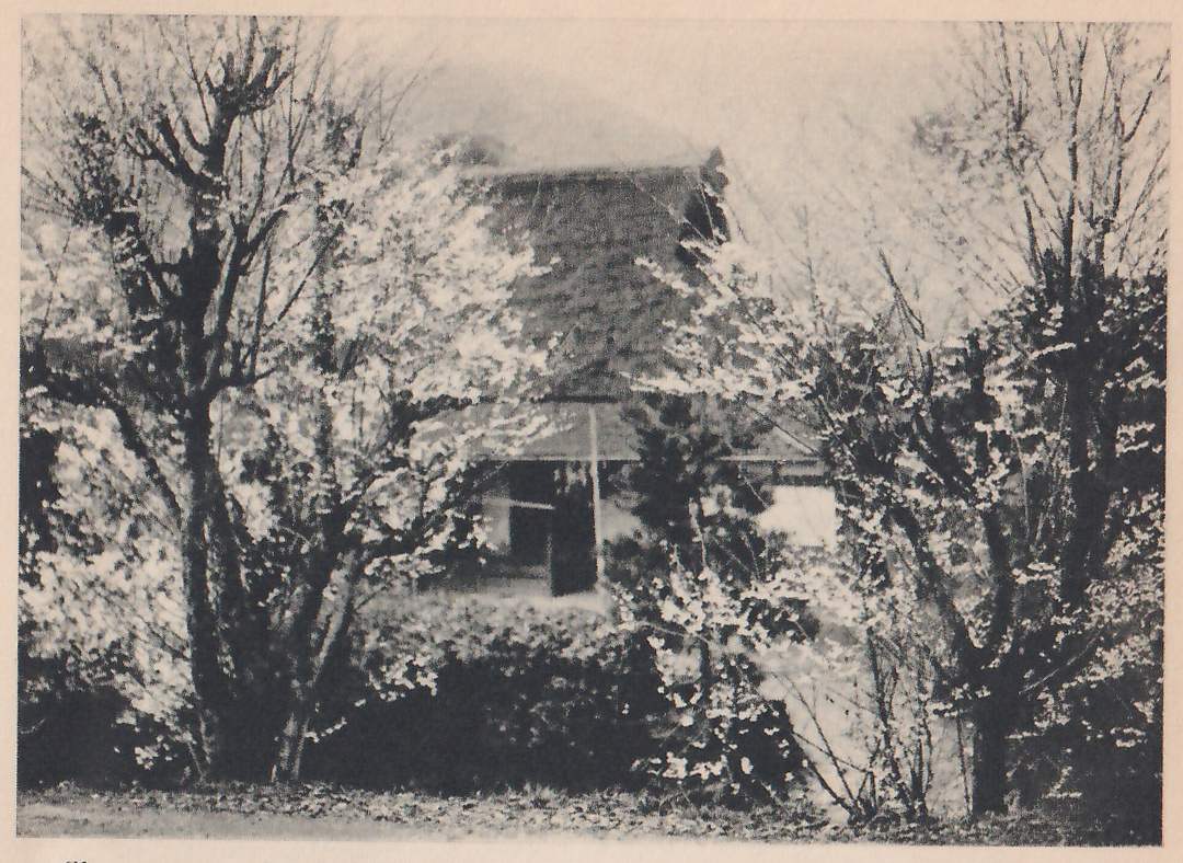 Black-and-white photograph looking between two blossoming trees with dark trunks, one at the left and one at the right, toward a building with a dark sloping roof set back behind a low dense mass of shrubs. Under the roof an open front shows a dark doorway and a pale panel.