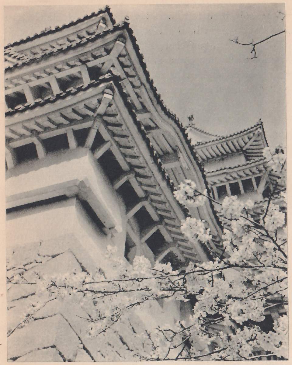 Black-and-white photograph looking steeply up at a building of stacked roofs with ridged surfaces and exposed timber frames under the eaves, leaning across the picture from the left. A pale sloping wall with angled lines fills the lower left, and branches with blossoms fill the lower right. A smaller roofed structure shows behind at the right, and a bare twig crosses the plain sky at the upper right.
