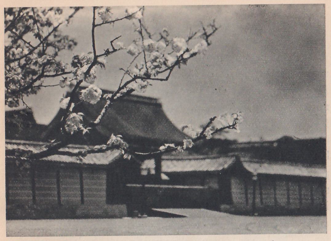Black-and-white photograph of a branch with blossoms reaching in from the upper left across a long low building with a sloping roof and a dark opening at the center. Low roofed walls extend to both sides under a dark cloudy sky, with pale open ground in the foreground.