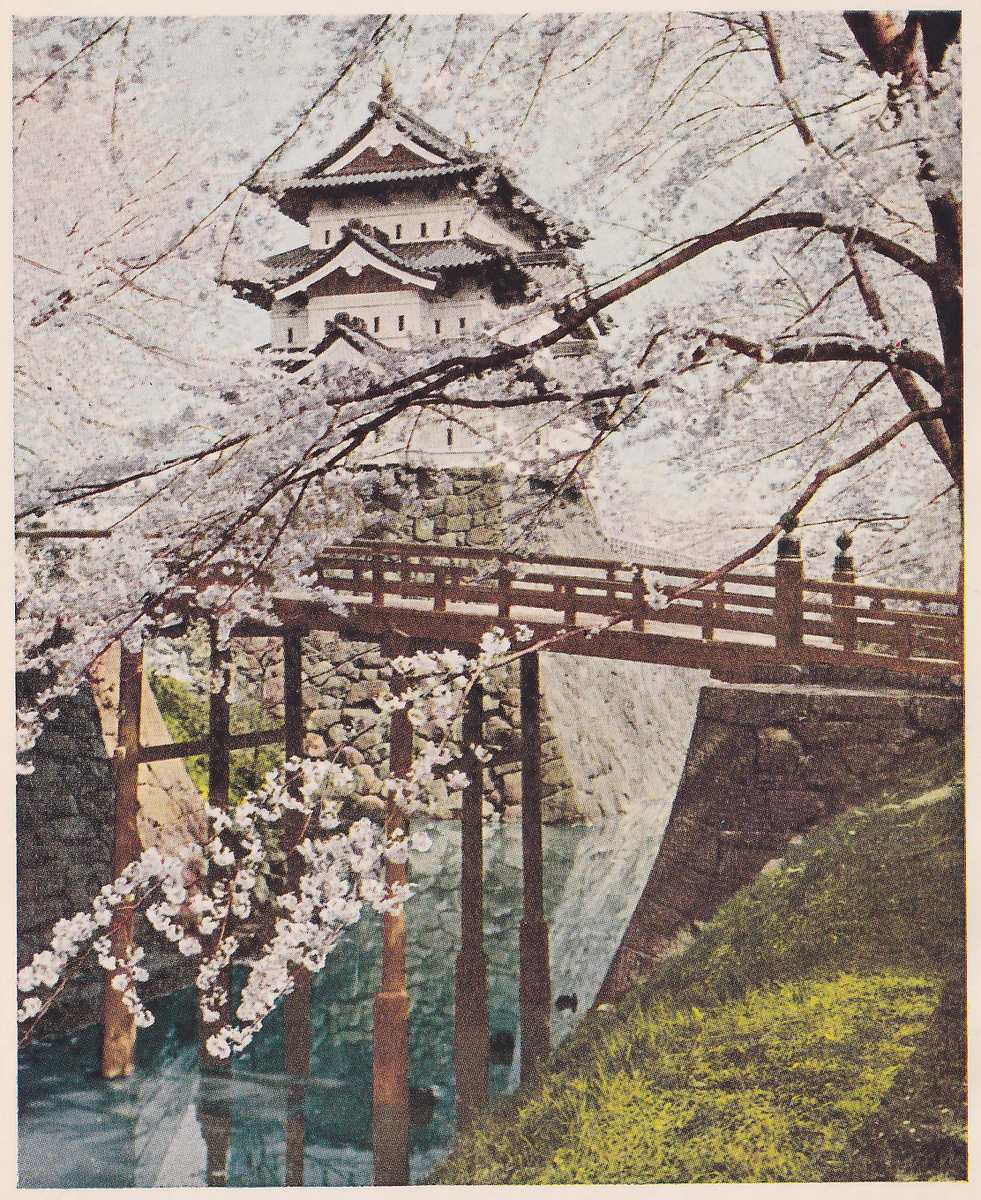Color photograph looking through blossoming branches that fill the upper part of the picture toward a white building of stacked tiers with dark roofs and pale gables. Below it a reddish-brown bridge with a railing and two knobbed posts at the right end crosses from the left on slender posts that stand in blue-green water, with a spray of white blossoms hanging in front of the posts at the lower left. Walls patterned like fitted blocks rise from the water behind and beside the bridge, a dark tree trunk stands at the upper right, and a grassy bank in yellow-green slopes down at the lower right.