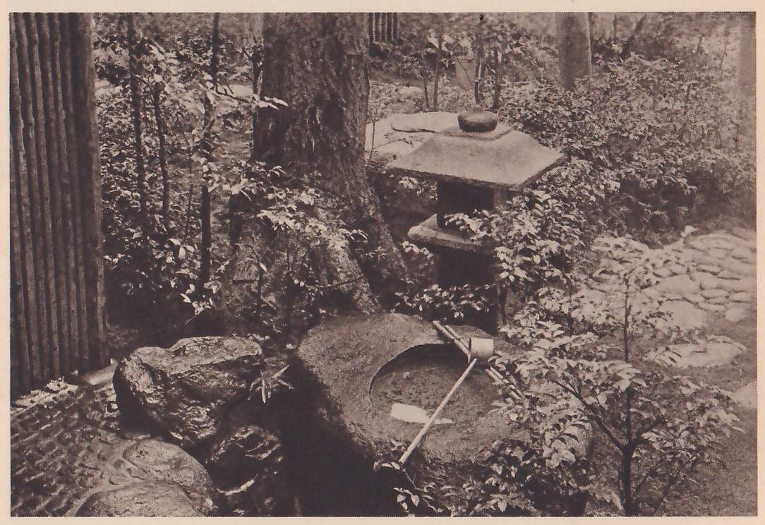 Photograph looking down on a garden corner: a large rough stone basin with a round hollow holds a long bamboo dipper laid across it; behind it a stone lantern with a square roof stands among shrubs beside a tall tree trunk, flat paving stones lie at the right, and a fence of upright bamboo stems fills the left edge.