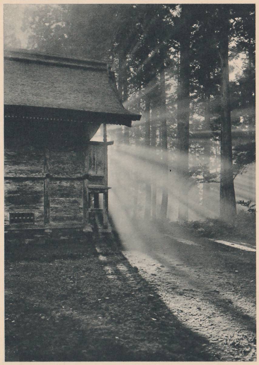 Photograph of a small wooden shrine building with a heavy roof at the left, beside a path that runs back through tall trees; slanting rays of light fall through the mist between the trunks onto the path.