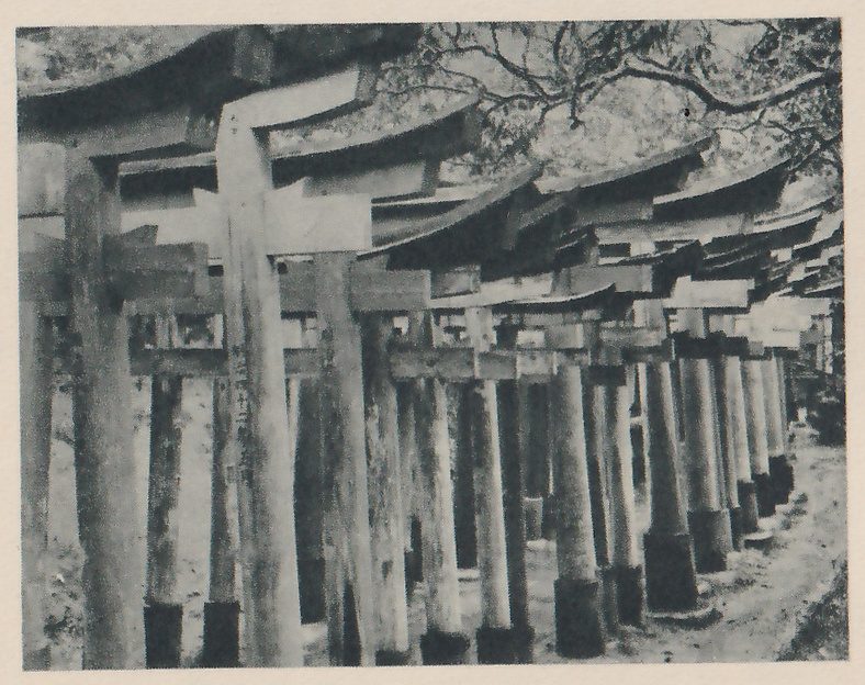Photograph of a long row of wooden torii gates one behind another along a path, each with two upright pillars and a curved top beam, running back toward the upper right; tree branches hang at the top right.
