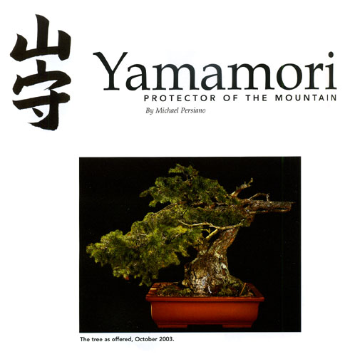 Bonsai photo by Michael Persiano