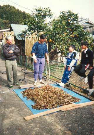More than half the material is the outer bark