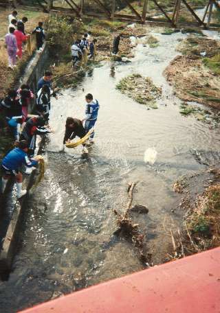 The kozo is washed in the Yoshino river
