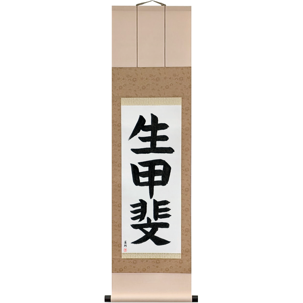 Japanese Scroll of Reason For Being (ikigai) in a block font by Master Japanese Calligrapher Eri Takase