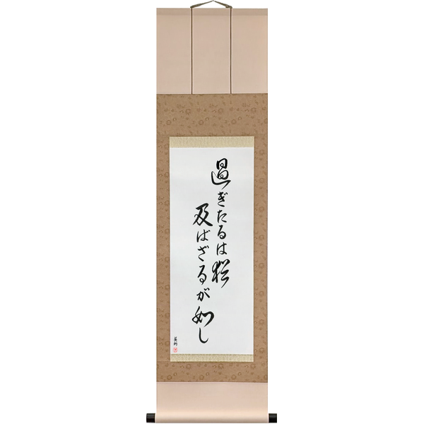 過ぎたるは尚及ばざるが如し