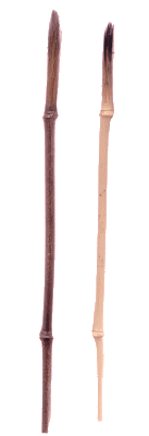 Bamboo Brushes. Sample artwork using these 
      