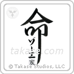 Zoe Family Is My Life