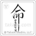 Kalpana Family Is My Life