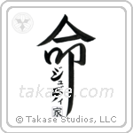 Jodie Family Is My Life