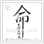 Ami Family Is My Life