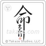 Amy Is My Life