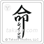 Shane Family Is My Life