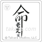 Zoe Family Is My Life