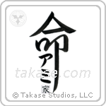 Ami Family Is My Life