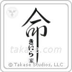 Kira Family Is My Life