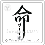 Zoe Family Is My Life