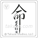 Zoe Family Is My Life