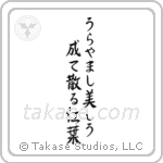 Shiko - How enviable, Turning beautiful then falling, maple leaves (うらやまし美しう成て散る紅葉) in Semi-Cursive style Japanese calligraphy by Eri Takase