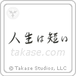 Life is Short (人生は短い) in Semi-Cursive style Japanese calligraphy by Eri Takase