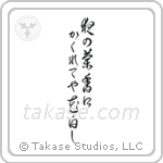 Buson - An evening orchid, Hidden in its scent, The flower's whiteness (夜の蘭香にかくれてや花白し) in Cursive style Japanese calligraphy by Eri Takase