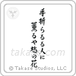 Chiyojo - To the person breaking off the branch, giving its fragrance, the plum blossom (手折らるゝ人に薫るや梅の花) in Semi-Cursive style Japanese calligraphy by Eri Takase