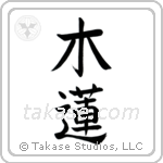 Magnolia (木蓮) in Block style Japanese calligraphy by Eri Takase