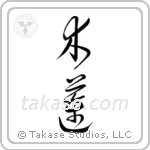 Magnolia (木蓮) in Block style Japanese calligraphy by Eri Takase