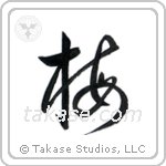 Plum Blossom (梅) in Cursive style Japanese calligraphy by Eri Takase