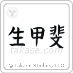Reason For Being (生甲斐) in Block style Japanese calligraphy by Eri Takase