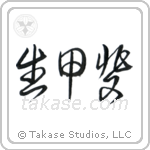 Reason For Being (生甲斐) in Cursive style Japanese calligraphy by Eri Takase