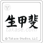 Reason For Being (生甲斐) in Semi-Cursive style Japanese calligraphy by Eri Takase