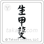 Reason For Being (生甲斐) in Design style Japanese calligraphy by Eri Takase