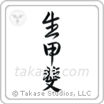 Reason For Being (生甲斐) in Semi-Cursive style Japanese calligraphy by Eri Takase