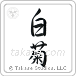 White Chrysanthemum (白菊) in Semi-Cursive style Japanese calligraphy by Eri Takase