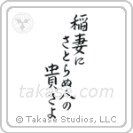 Basho - How admirable, to see lightning, and not think life is fleeting (稲妻にさとらぬ人の貴さよ) in Cursive style Japanese calligraphy by Eri Takase