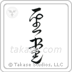 Bible (聖書) in Cursive style Japanese calligraphy by Eri Takase