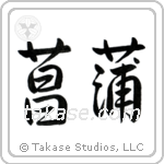 Iris (菖蒲) in Semi-Cursive style Japanese calligraphy by Eri Takase
