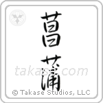 Iris (菖蒲) in Semi-Cursive style Japanese calligraphy by Eri Takase