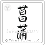 Iris (菖蒲) in Semi-Cursive style Japanese calligraphy by Eri Takase