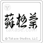 Scotland (蘇格蘭) in Cursive style Japanese calligraphy by Eri Takase
