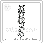 Scotland (蘇格蘭) in Cursive style Japanese calligraphy by Eri Takase