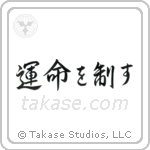 I Control My Destiny (運命を制す) in Cursive style Japanese calligraphy by Eri Takase