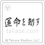 I Control My Destiny (運命を制す) in Semi-Cursive style Japanese calligraphy by Eri Takase