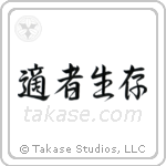 Survival of the Fittest (適者生存) in Semi-Cursive style Japanese calligraphy by Eri Takase