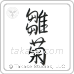 Daisy (雛菊) in Semi-Cursive style Japanese calligraphy by Eri Takase