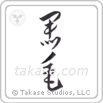 Black hair (黒毛) in Cursive style Japanese calligraphy by Eri Takase